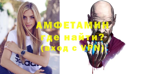 молекула духа Богородицк