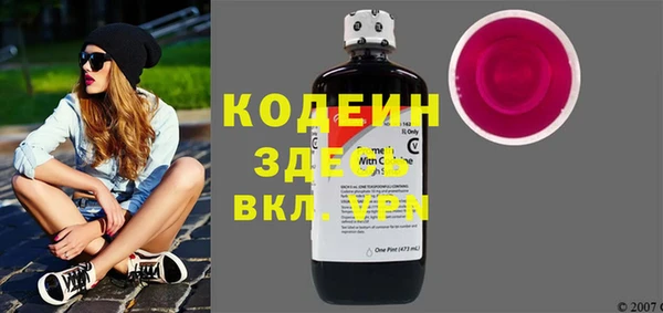 ПСИЛОЦИБИНОВЫЕ ГРИБЫ Богданович