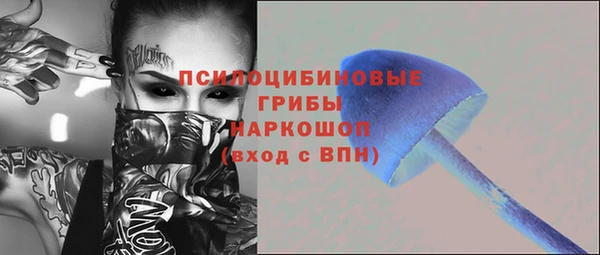 ПСИЛОЦИБИНОВЫЕ ГРИБЫ Богданович