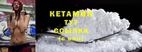ПСИЛОЦИБИНОВЫЕ ГРИБЫ Богданович