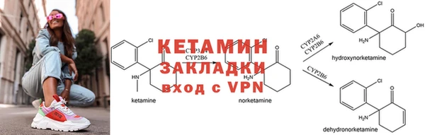 ПСИЛОЦИБИНОВЫЕ ГРИБЫ Богданович