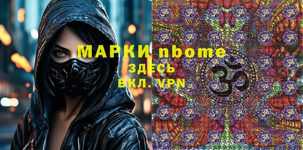 молекула духа Богородицк