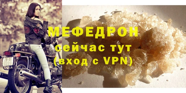 молекула духа Богородицк