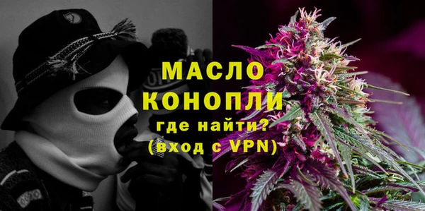 молекула духа Богородицк