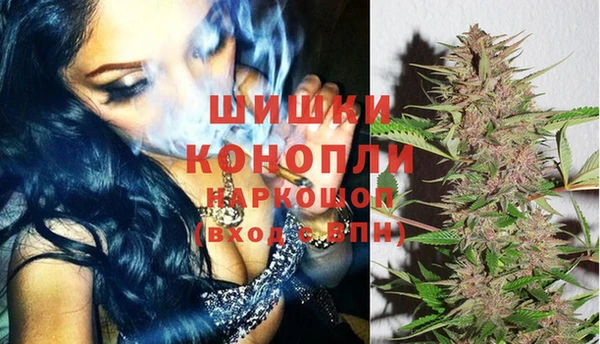 молекула духа Богородицк