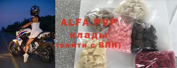 ПСИЛОЦИБИНОВЫЕ ГРИБЫ Богданович