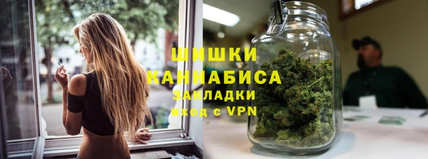 ПСИЛОЦИБИНОВЫЕ ГРИБЫ Богданович
