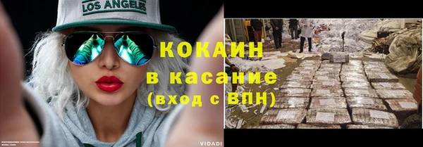 сатива Беломорск