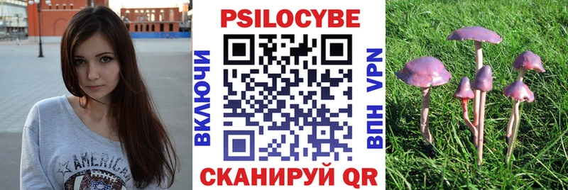 Псилоцибиновые грибы мицелий  купить  цена  shop официальный сайт  Биробиджан 